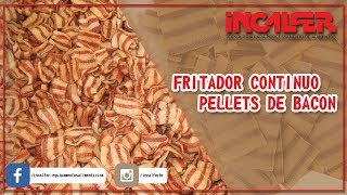 FRITADOR CONTÍNUO DE PELLETS [upl. by Enahc]