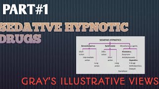 Pharmacology chapter22 part1 Sedative hypnotic drugs Graysillustrative [upl. by Alegre204]