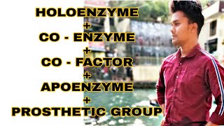 HOLOENZYME APOENZYMECO  FACTORCO ENZYME  PROSTHETIC GROUP [upl. by Kreitman]