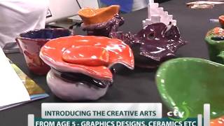 School of Arts and Design St Lucia on Calabash TV [upl. by Kutchins]