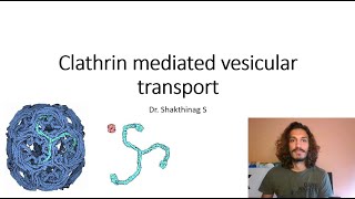 Clathrin mediated vesicular transport [upl. by Anibla134]