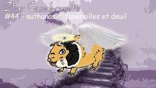 StarCacahouette 44 mort euthanasie funérailles et deuil de son cochon dInde [upl. by Robinetta]