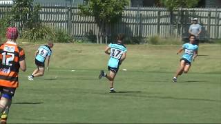 Harold Matthews Round Eight  Cronulla Sharks v Balmain Tigers [upl. by Kery439]