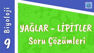 Biyoloji 9Sınıf  Organik Bileşikler  YağlarLipitler Soru Çözümleri [upl. by Novat]