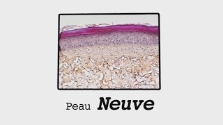 Peau neuve [upl. by Enaerb]