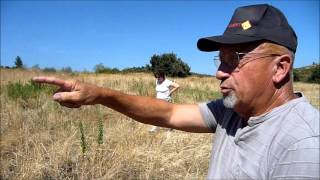 SOURCIER et FORAGE en Conflent [upl. by Frey]