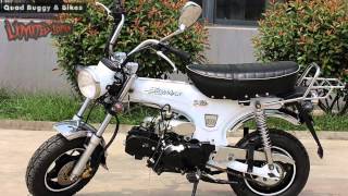 Skyteam ST506  Honda Dax Nachbau 50ccm Moped  NEU 2014 [upl. by Atis96]