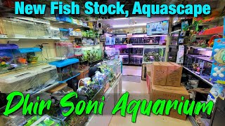 New Fish Stock at Dhirsoni Aquarium Store in Thane [upl. by Ellinej120]