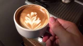 Making A Latte With The Breville Barista Express [upl. by Ahsiak]