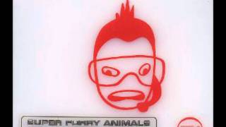 Super Furry Animals  Ice Hockey Hair full length [upl. by Ticknor]