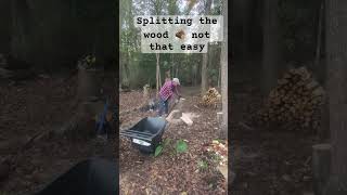 Splitting the wood 🪵 in the backyard woods woodsplitting splittingwood wood woodworking [upl. by Enilrae314]