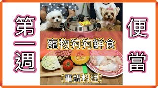 寵物狗狗鮮食簡單做–第一週便當 🍴電鍋料理雞胸雞腿蔬菜煮｜Easy Homemade Dog Food1st Week [upl. by Ragland571]