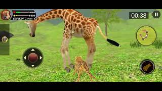 Wild Lion Simulator 3D by Turbo Rocket Games Android Gameplay HDDroidGameplaysTV [upl. by Odraode]