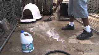 Ways to Clean your Dog Kennel  Dogs Health [upl. by Dnomrej101]