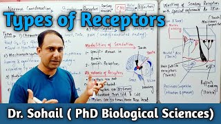 Types of Receptors  Skin as a Receptor Organ  12th Biology  MDCAT Biology  NEET Biology [upl. by Arul]