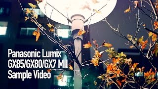 Panasonic Lumix DMC GX85GX80 Handheld shootingTesting Video [upl. by Trahurn]