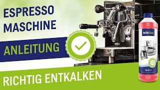 Espresso Maschine richtig entkalken  Anleitung  Siebträger Maschinen Entkalkung [upl. by Nalniuq556]