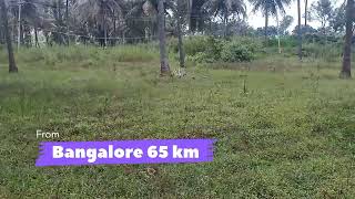 85 acres agriculture land for sale l Ramanagara l Channapatana l Kanakapur l Contact l 8660433133 [upl. by Shipp]