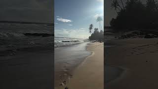 Exploring Sri Lankas Most Beautiful Beaches [upl. by Lak556]