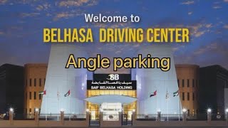 Angle Parking Test [upl. by Netsirc]