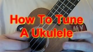 How to Tune A Ukulele [upl. by Aizek]