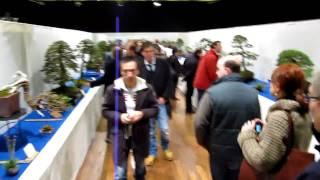 Noelanders Trophy Bonsai Exhibition Trees walk the show 3 [upl. by Netsrak]