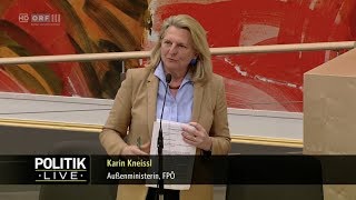 Karin Kneissl  Bericht Außenministerium EUArbeitsprogramm 2019  2832019 [upl. by Twum280]