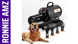 Best Dog Dryer 2024  Top 5 [upl. by Maillij357]