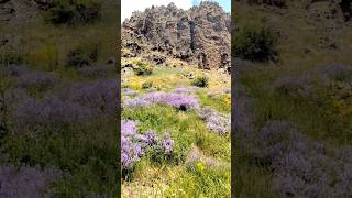 Armenia Aragatsotn Ara ler Армения Арагацотн Ара лер Ծաղկեվանք shorts Armenia mountains nature [upl. by Enyawd782]