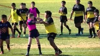 Toongabbie Tigers vs Mounties [upl. by Vally]