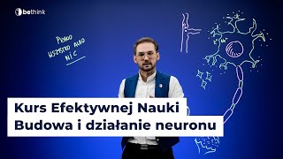 Budowa i działanie neuronu  Kurs Efektywnej Nauki  Lekcja 11 [upl. by Aratnahs897]