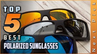 Top 5 Best Polarized Sunglasses Review in 2024 [upl. by Rocca]