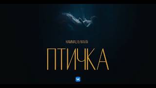 Hammali amp Navai птичка 2024 музыка music hammalinavai [upl. by Racso]