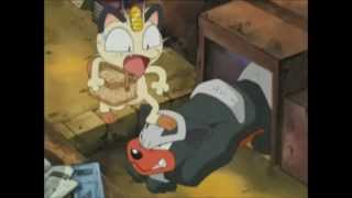 Pokemon Chronicles Episode 19 Of Meowth and Pokemon  DOWNLOAD LINK [upl. by Nadruoj]