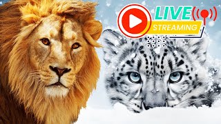 Impariamo i Nomi e i Suoni di 100 Animali 🎴 FLASHCARD  Animali Nella Vita Reale 🦁🦉🦓 Educativo Bimbi [upl. by Malti]