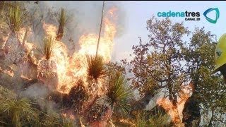 Vientos aumentan los incendios forestales en Hidalgo [upl. by Xino]