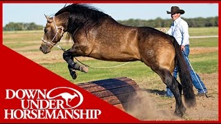 Clinton Anderson Obstacle Course Training at the Ranch Rally  Downunder Horsemanship [upl. by Anahgem]