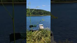 Vlasinsko jezero jul 2024 nature lake shorts relaxingmusic music relaxing travel [upl. by Cathrine]