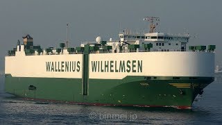 MANON  Wallenius Wilhelmsen Logistics vehicles carrier [upl. by Yra]