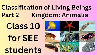 Classification of Living Beings Class10SEE  Part 2  Kingdom Animalia Science and Technology [upl. by Yeldahc]