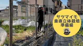 サツマイモ栽培【垂直立体栽培】【支柱準備】【杭】【家庭菜園】 [upl. by Leola61]