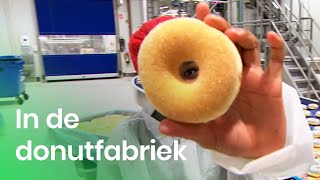 Hoe worden donuts gemaakt  Doen Ze Dat Zo  Het Klokhuis [upl. by Hess966]