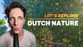 Relaxing Walk in Dutch Nature  Holland Stroll and Garden Visit Livestream Recording [upl. by Oribel470]