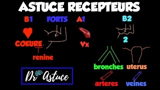 🔴 Dr Astuce  UNE ASTUCE GÉNIALE POUR LES RECEPTEURS ADRENERGIQUES [upl. by Ellerol889]