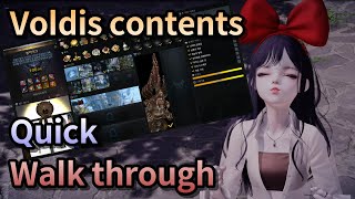 Lost Ark All Voldis contents quick walk through [upl. by Ellehcar]