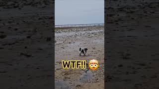 WTF happened to Southport beach 🤯🤯 southport southportbeach wtf fail fyp fypagetiktok omg [upl. by Salohcin]