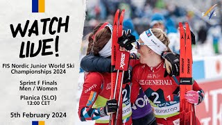 LIVE FIS Nordic Junior World Ski Championships 2024 Planica  Sprint F Finals Men amp Women [upl. by Lissy]