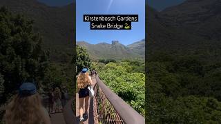 Kirstenbosch Gardens snake bridge 🐍 capetown botanicalgarden protea thingstodoincapetown hike [upl. by Brieta]