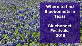 Where to find Bluebonnets in Texas Bluebonnet Festivals 2018 [upl. by Sonafets]