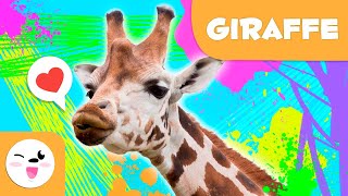 Giraffe 🦒 Animals for kids 🌳 Episode 7 [upl. by Orin766]